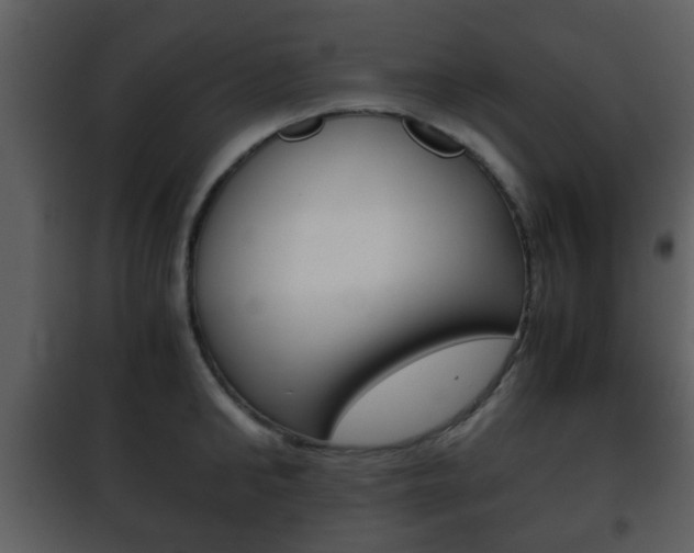 X0000101960902200807180659