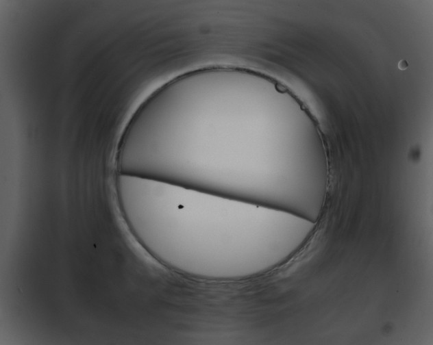 X0000101960903200807180659