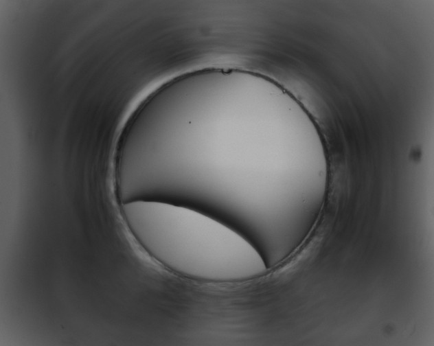 X0000101960904200807180659