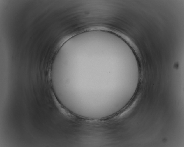 X0000101960905200807180659