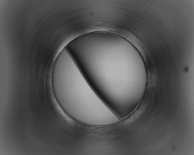 X0000101960906200807180659
