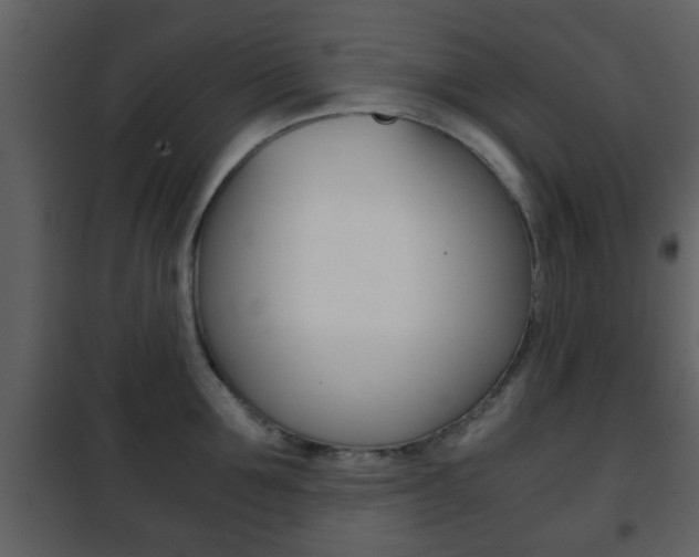 X0000101960907200807180659