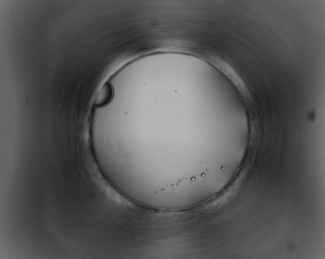 X0000101960908200807180659