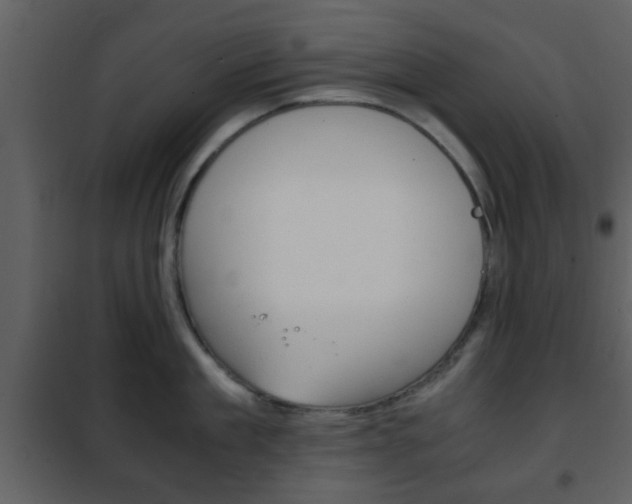 X0000101960909200807180659