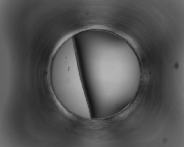 X0000101960910200807180659