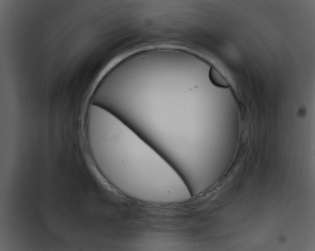 X0000101960911200807180659