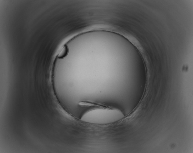 X0000101960912200807180659