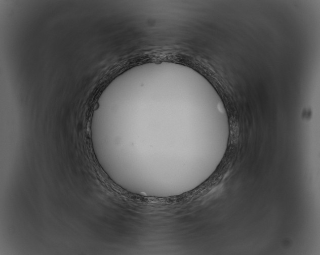 X0000101960913200807180658
