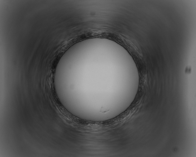 X0000101960914200807180658
