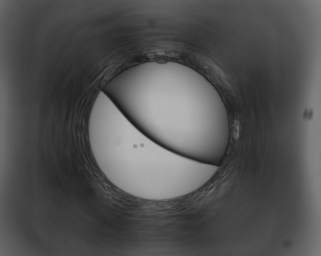 X0000101960915200807180658