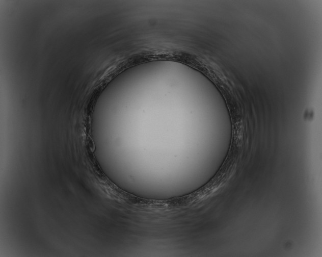 X0000101960916200807180658