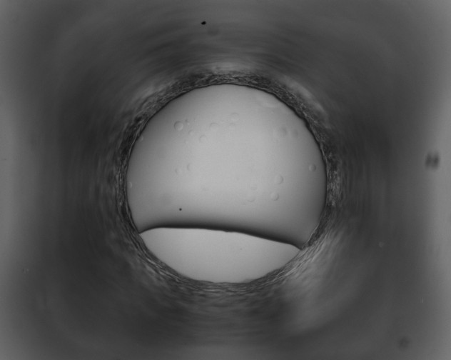 X0000101960917200807180659
