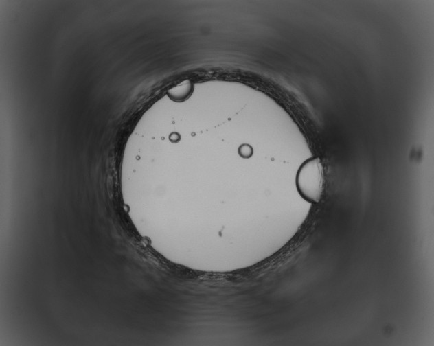 X0000101960918200807180659