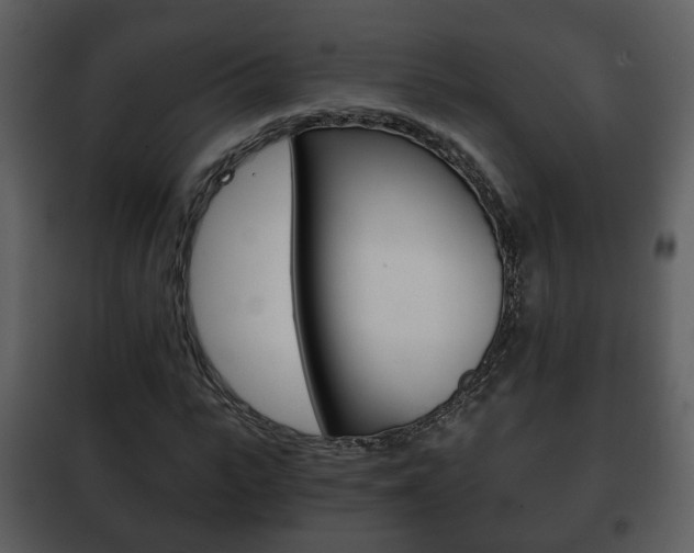 X0000101960919200807180659