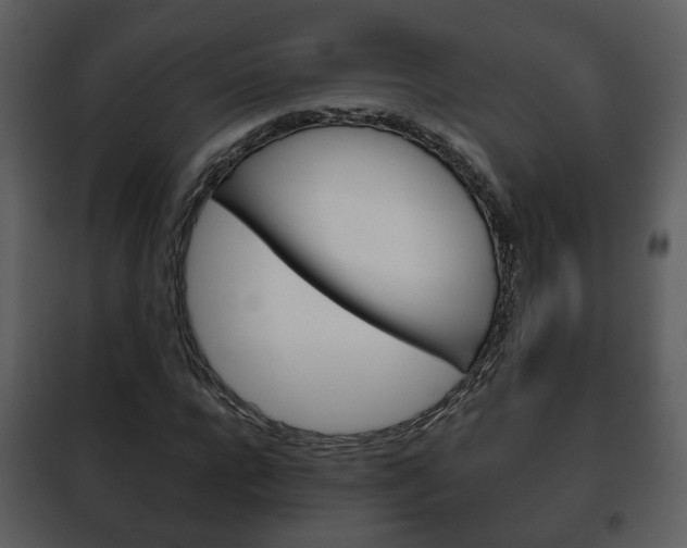 X0000101960920200807180659
