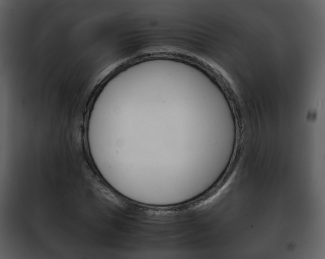 X0000101960921200807180659