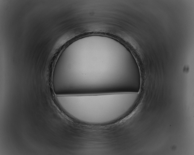 X0000101960922200807180659
