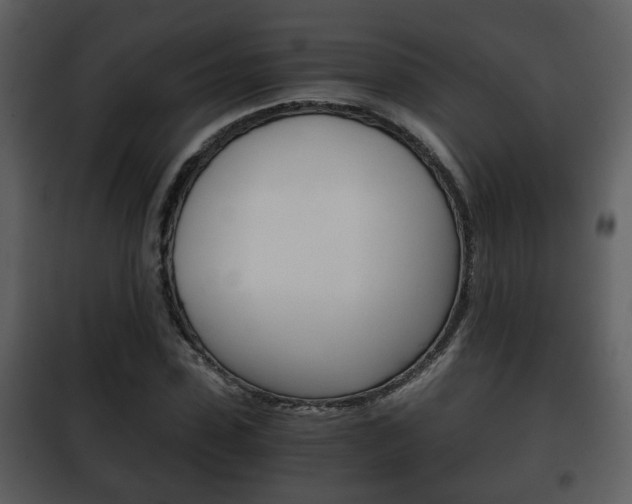 X0000101960923200807180659