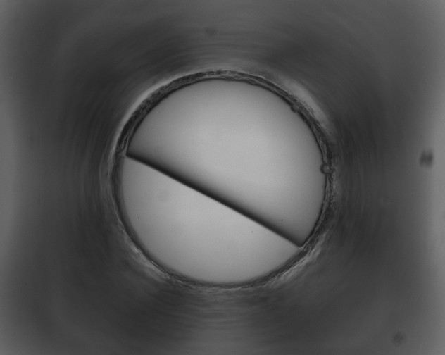 X0000101960924200807180659