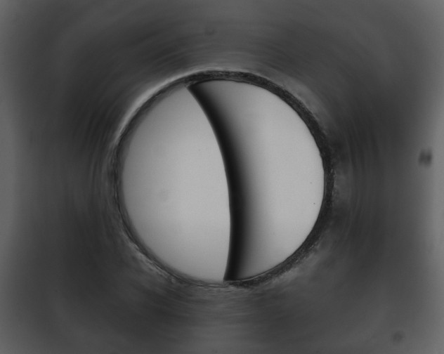 X0000101960926200807180659