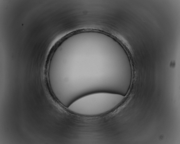 X0000101960928200807180659
