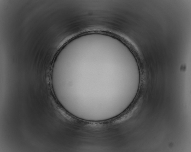 X0000101960929200807180659