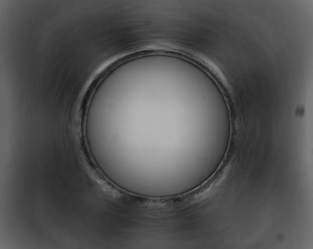 X0000101960931200807180659