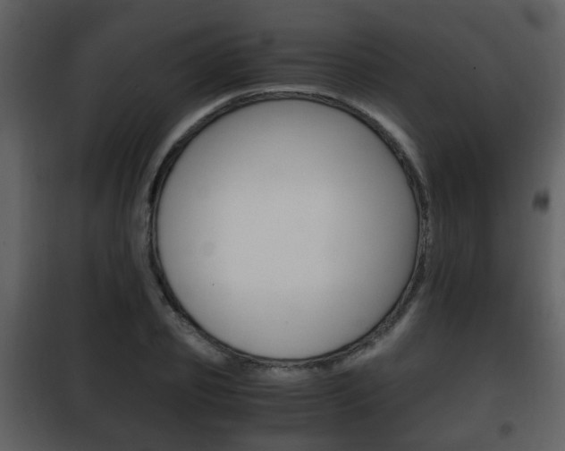 X0000101960933200807180659