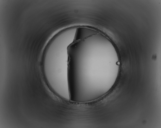 X0000101960934200807180659