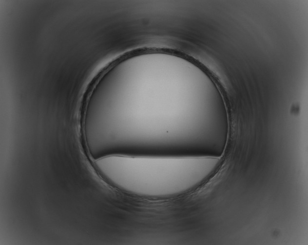 X0000101960935200807180659