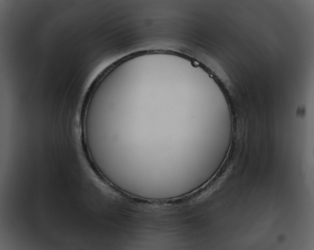 X0000101960936200807180659