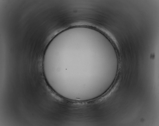X0000101960937200807180659
