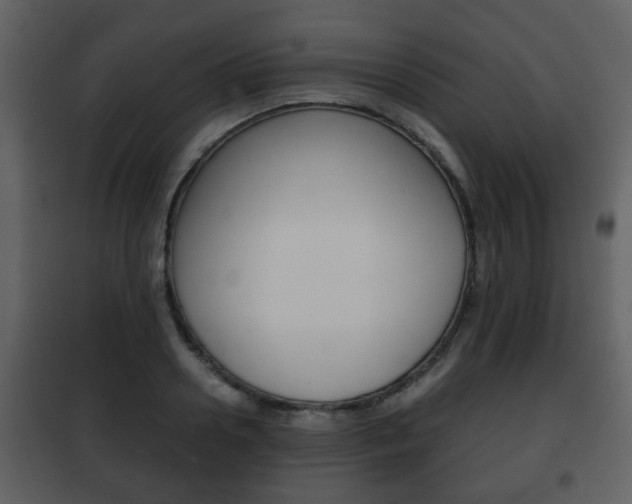 X0000101960938200807180659
