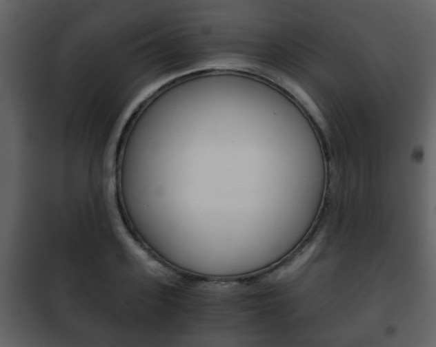 X0000101960939200807180659