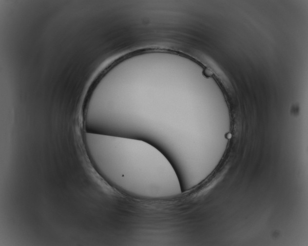 X0000101960940200807180659