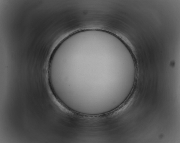 X0000101960941200807180659
