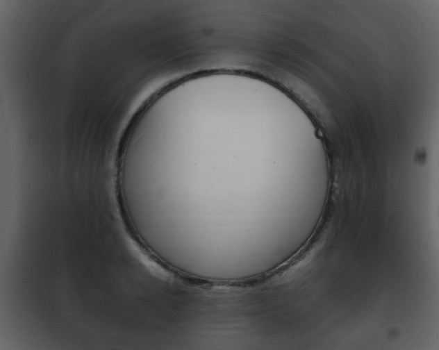 X0000101960942200807180659