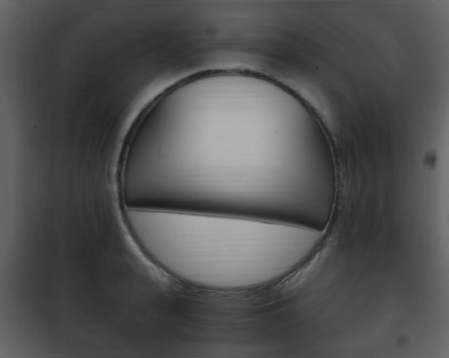 X0000101960943200807180659