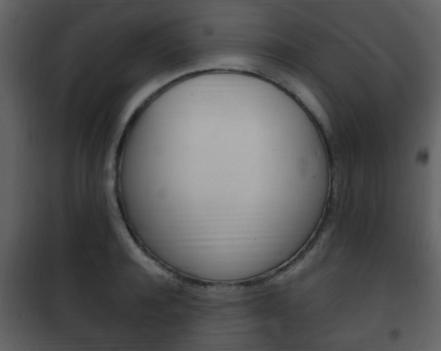 X0000101960944200807180659