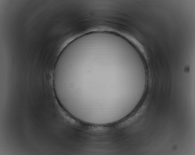 X0000101960945200807180659