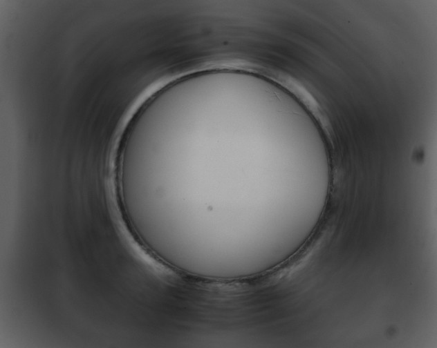X0000101960947200807180659