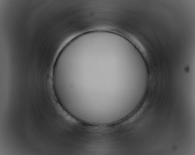 X0000101960948200807180659