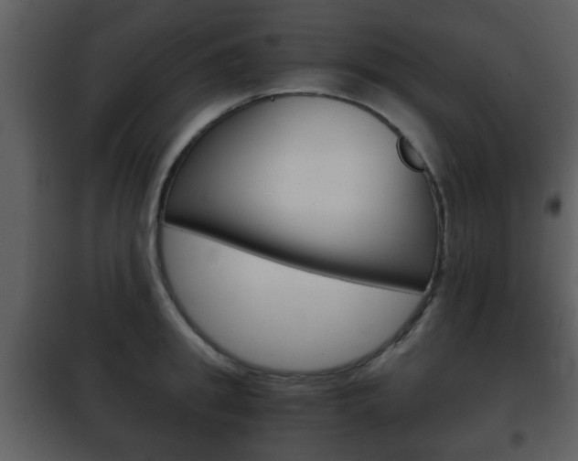 X0000101960949200807180659