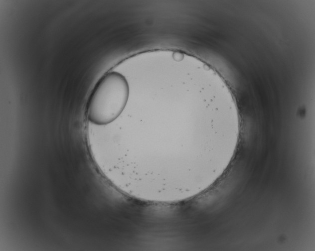 X0000101960950200807180659