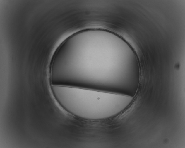 X0000101960951200807180659