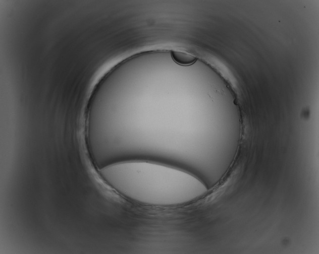 X0000101960952200807180659
