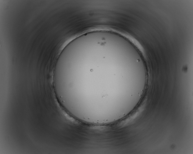 X0000101960953200807180659