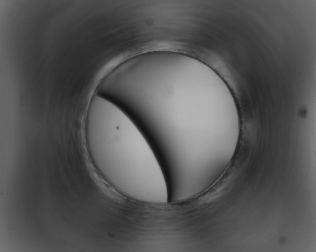 X0000101960954200807180659