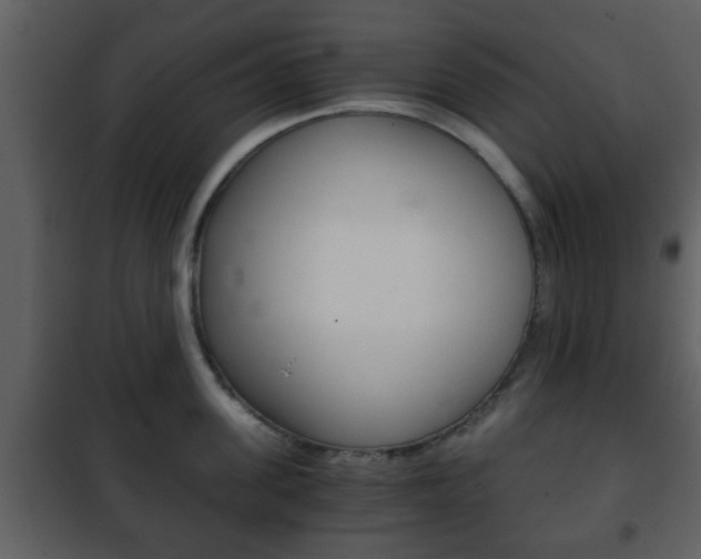X0000101960955200807180659