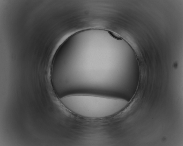 X0000101960956200807180659